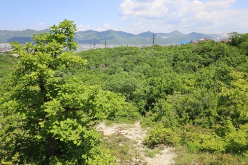 9-я щель