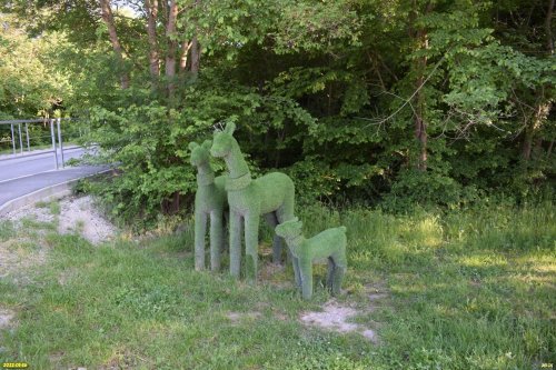 Зелёная зона в с.Глебовское (3)