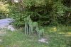 Зелёная зона в с.Глебовское (3)