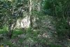 Зелёная зона в с.Глебовское (1)