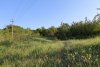 Зелёная зона в с.Глебовское (2)