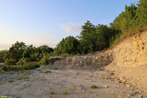 Зелёная зона в с.Северная Озереевка (6)