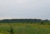 Озеро Прорва