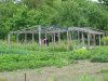 Зелёная зона в х.Ольгинский (2) примыкает к огородам жителей