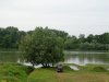 Свободный лес расположен на левом берегу Кубани