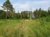 Припшехский лес (г.Апшеронск)