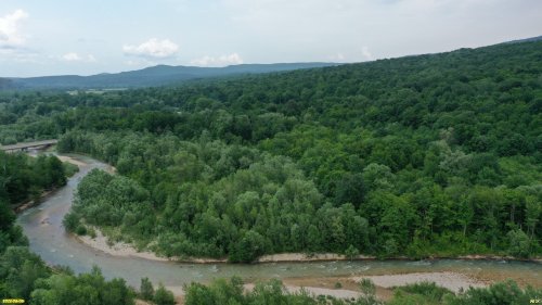 Закурджипский лес (х.Гуамка)