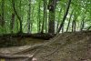 Закурджипский лес (х.Гуамка)