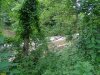 Зелёная зона в п.Новый (1)