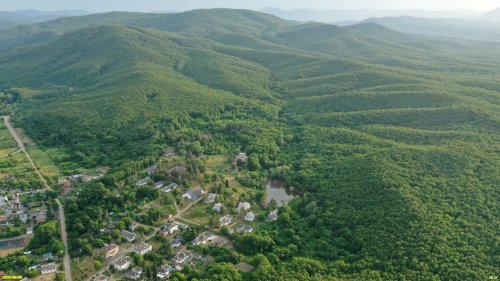 Синегорский лес, южная часть