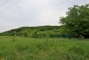 Зелёная зона в п.Синегорск (2)