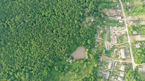 Зелёная зона в п.Синегорск (1) включает в себя водоём и окружающий лес
