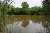 Водоём в зелёной зоне в п.Синегорск (1)