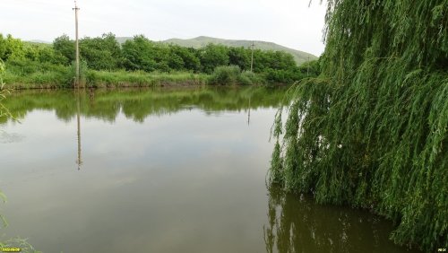 Живописный водоём в зелёной зоне в п.Синегорск (дополнительная) 
