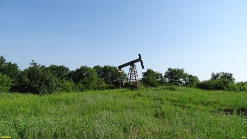 Эклектика Холмского лесопарка: нефтяные скважины в окружении леса и лугов
