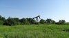Эклектика Холмского лесопарка: нефтяные скважины в окружении леса и лугов