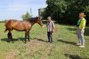 Дружеское общение на краю зелёной зоны в ст.Холмская (7)