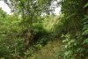 Зелёная зона в ст.Холмская (6)