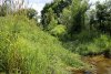 Река Зыбза ограничивает Урочище Горки с запада
