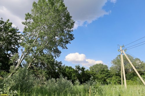 Урочище Горки (северная часть): пойменный лес в долине реки Зыбза