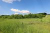 Урочище Горки: северная часть