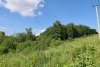 Урочище Горки: северная часть