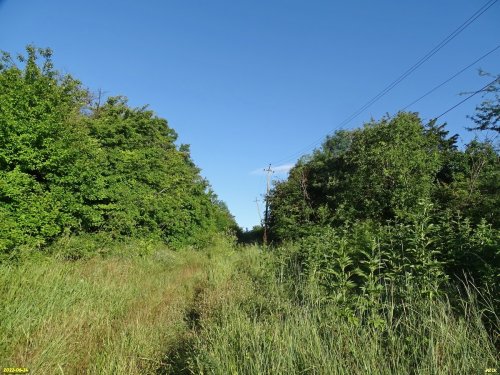 Перспективная зелёная зона в г.Абинске (11)