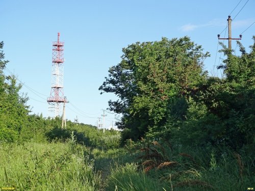 Перспективная зелёная зона в г.Абинске (11)