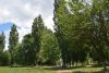 Зелёная зона в с.Юровка (дополнительная, расширение территории Парка культуры и отдыха)