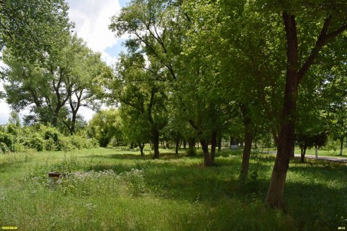 Зелёная зона в с.Юровка (дополнительная, расширение территории Парка культуры и отдыха)