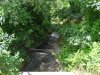 Зелёная зона в с.Юровка (2)