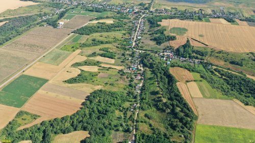 Зелёная зона в х.Большой Разнокол (2)