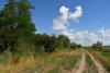 Зелёная зона в х.Большой Разнокол (1)