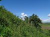 Зелёная зона в х.Большой Разнокол (дополнительная)