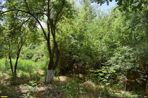Зелёная зона в х.Иванов (1)