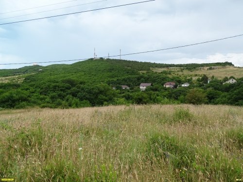 Зелёная зона в с.Варваровка (1)