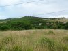 Зелёная зона в с.Варваровка (1)