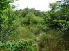 Куматырская гора