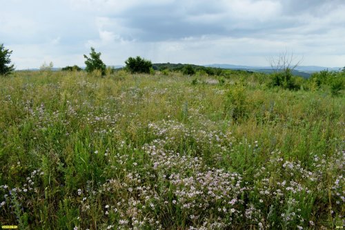Куматырская гора
