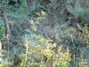 Таманская Швейцария