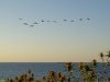 Таманская Швейцария