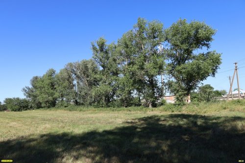 Зелёная зона в п.Красный Октябрь (2)