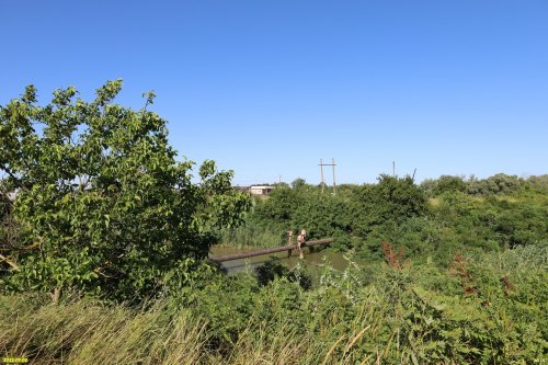 Зелёная зона в п.Красный Октябрь (1)