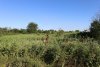 Зелёная зона в п.Красный Октябрь (7)
