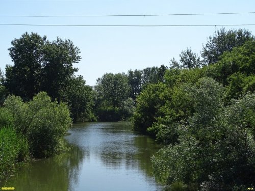 Куркинский лес