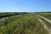 Зелёная зона в х.Светлый Путь Ленина (13)