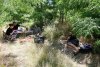 Зелёная зона в х.Светлый Путь Ленина (14)