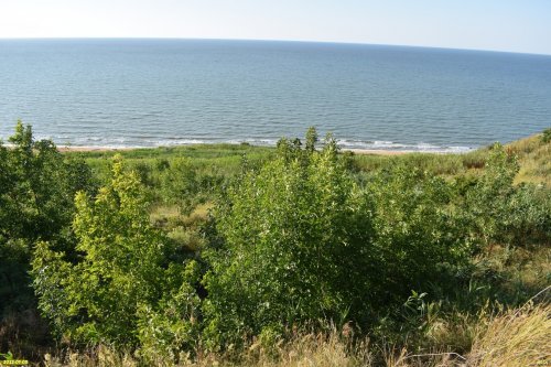 Зелёная зона в п.Кучугуры (6)