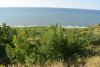 Зелёная зона в п.Кучугуры (6)