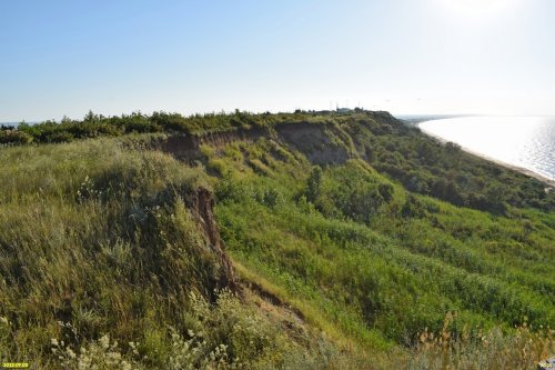 Зелёная зона в п.Кучугуры (6)